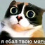 3 причины аборта