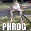 Phrog