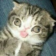 ________________________________