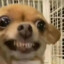 620