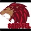 SansSel