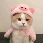 只会躲在后面喊奶昔