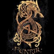 F3NR1R