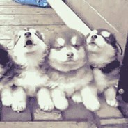 身轻体柔易击倒