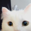Twitch aesthe7e