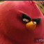 Angry