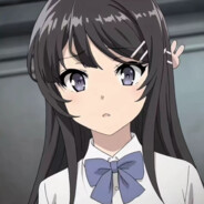 猫猫丨桜島麻衣の犬