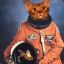 _Space_Kittens_