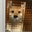 8-bit doge