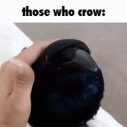 Those who crow