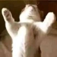 请叫我喵喵大王！