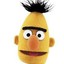 Bert