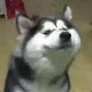 精锐陷阵营