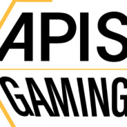 Apis Gaming Dir of Biz