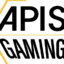 Apis Gaming Dir of Biz