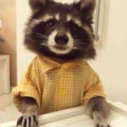 Fancy Raccoon