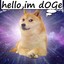 Super_DOGE