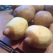 HardPotatoNips