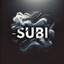 Mr.Subi