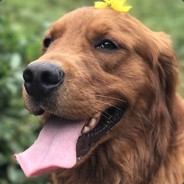 --------菜逼分界线--------