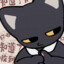 The Night cat