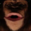 monkaymayer