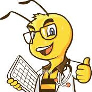 Dr. Bee