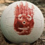 Wilson