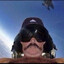 pleh's avatar