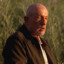 Mike Ehrmantraut