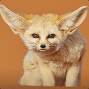 Fennec