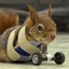 Disabled squirrel