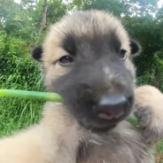 这还拿不下你？