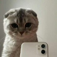 [1OOO-7 Y.O] llleanex