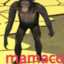 ⁷ʳMacaco Da Selva