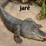 PEDRA QUENTE 299KM/HR