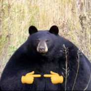 Cummy Bear