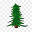 Pine