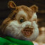 green_chipmunk