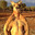 El Kangu