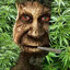 gasheeeeeeeeeeesh's avatar