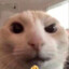 Esteban