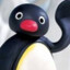 Pingu7