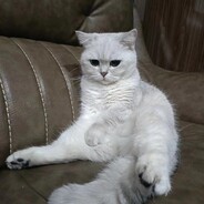 小丑竞在我身边