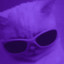 Sphynx