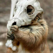 时间管理大师空虚公子