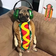Cosmic pug