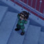 Pan