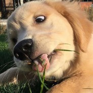 君子报仇、一天到晚