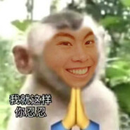 一米五因为爱摆谱，技术拉所以二百五